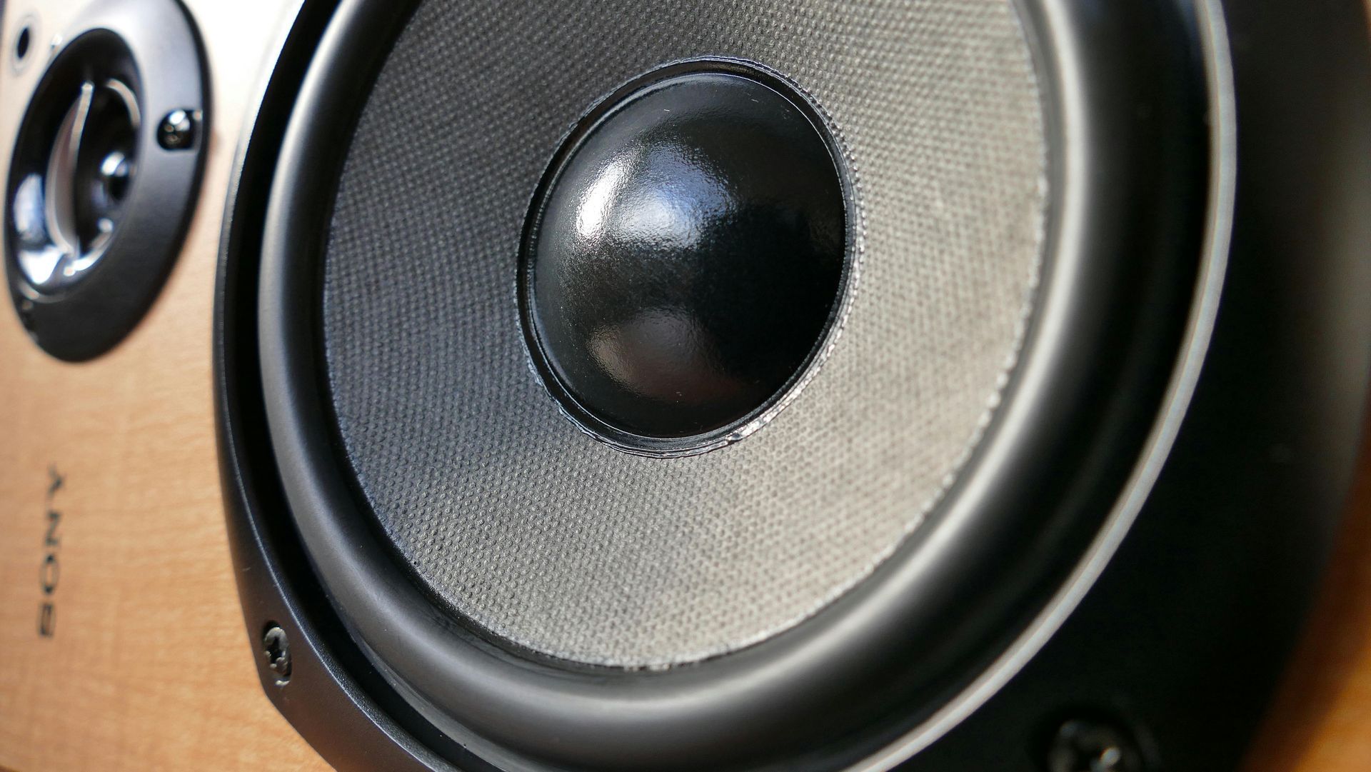Close-up of a black speaker with a central cone, a mesh covering, and a wooden casing.