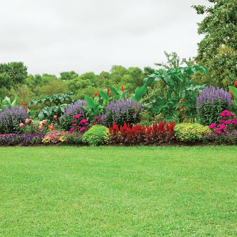 Mowed Lawn in a Garden — Advance, NC — Jones Landscaping Services Inc.