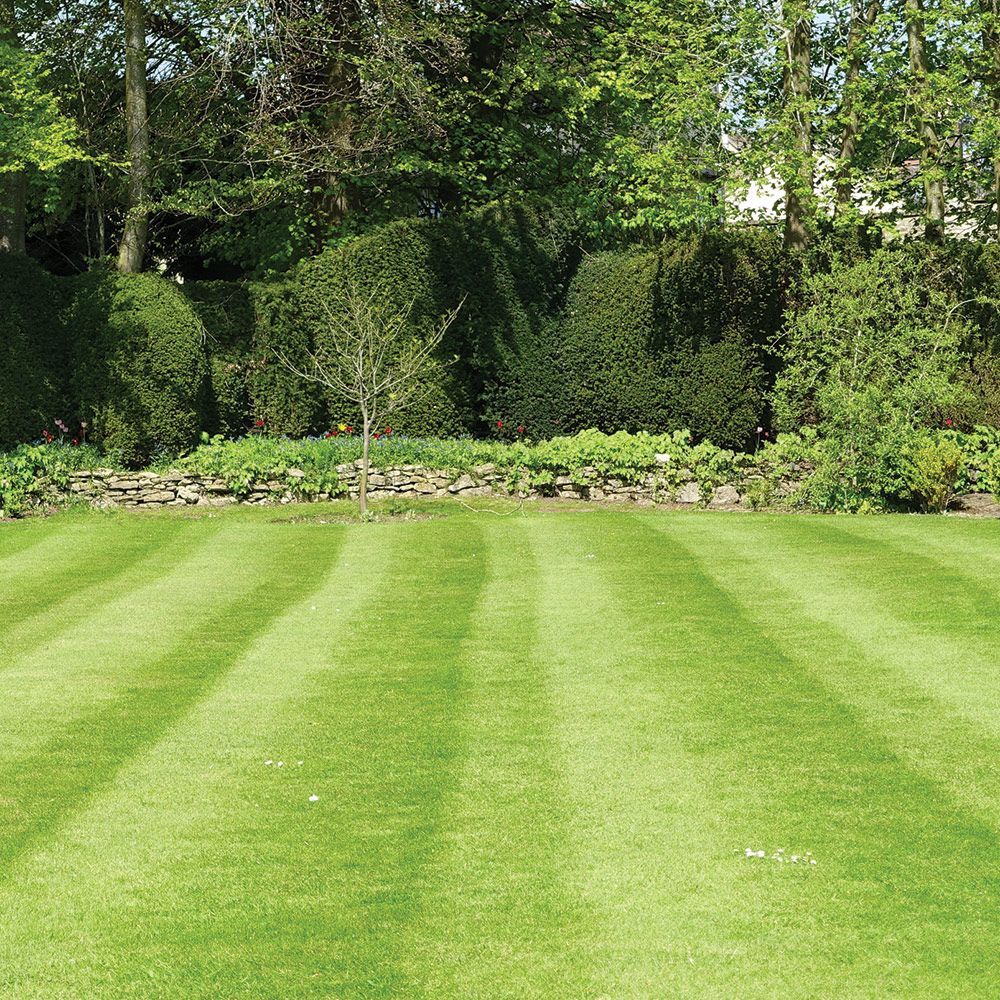 Landscaped Formal Garden — Advance, NC — Jones Landscaping Services Inc.