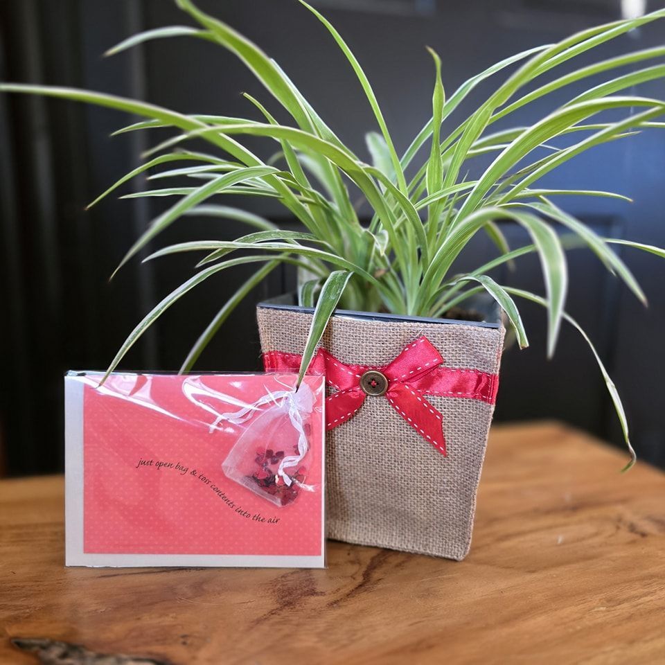 A plant in a pot next to a card that says 