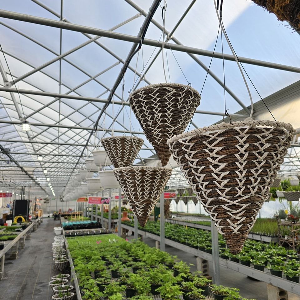 Potted plants and hanging baskets available at The Petal Patch greenhouse in Fremont, OH