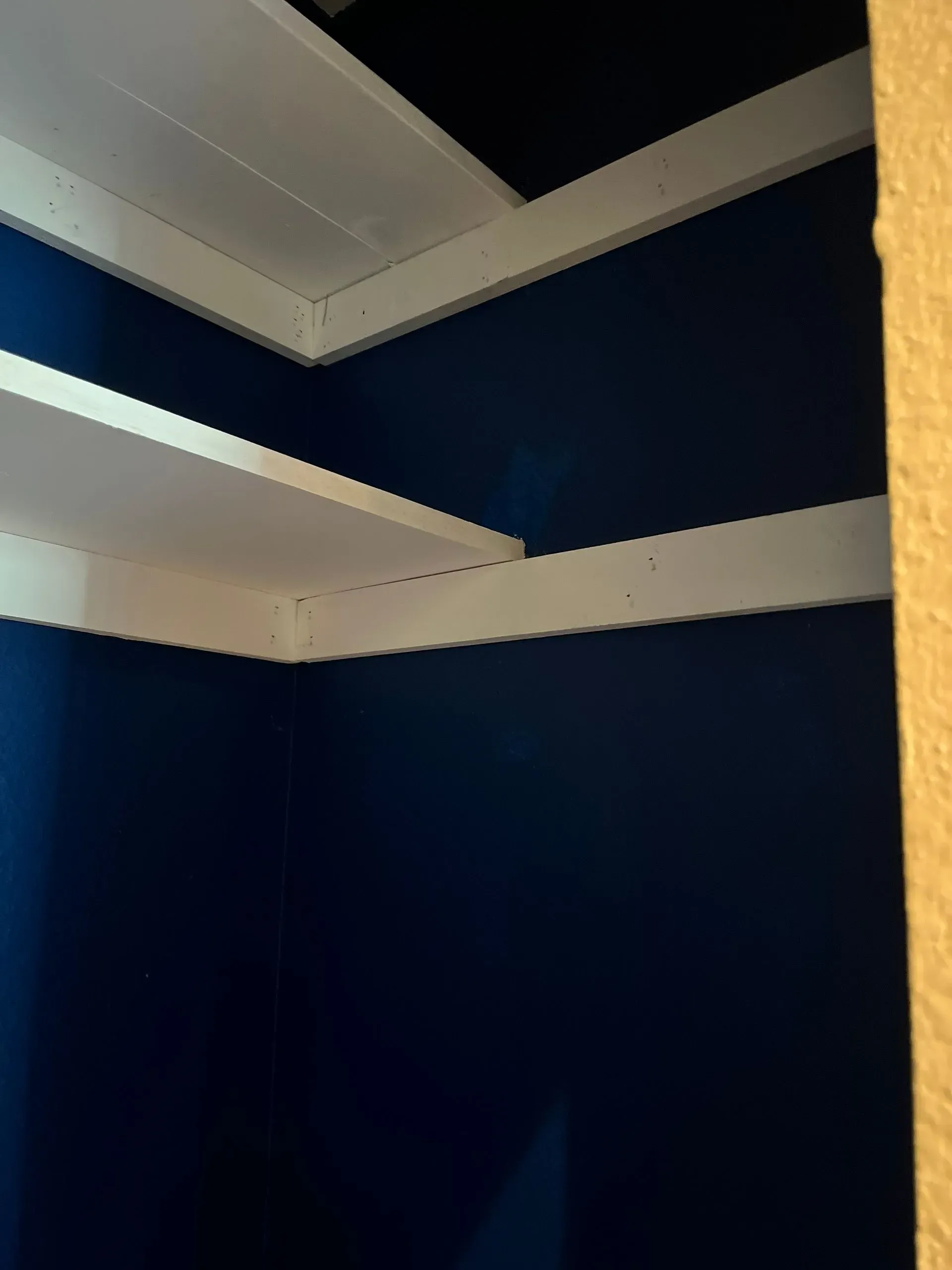 White shelves installed on a corner of a dark blue wall.