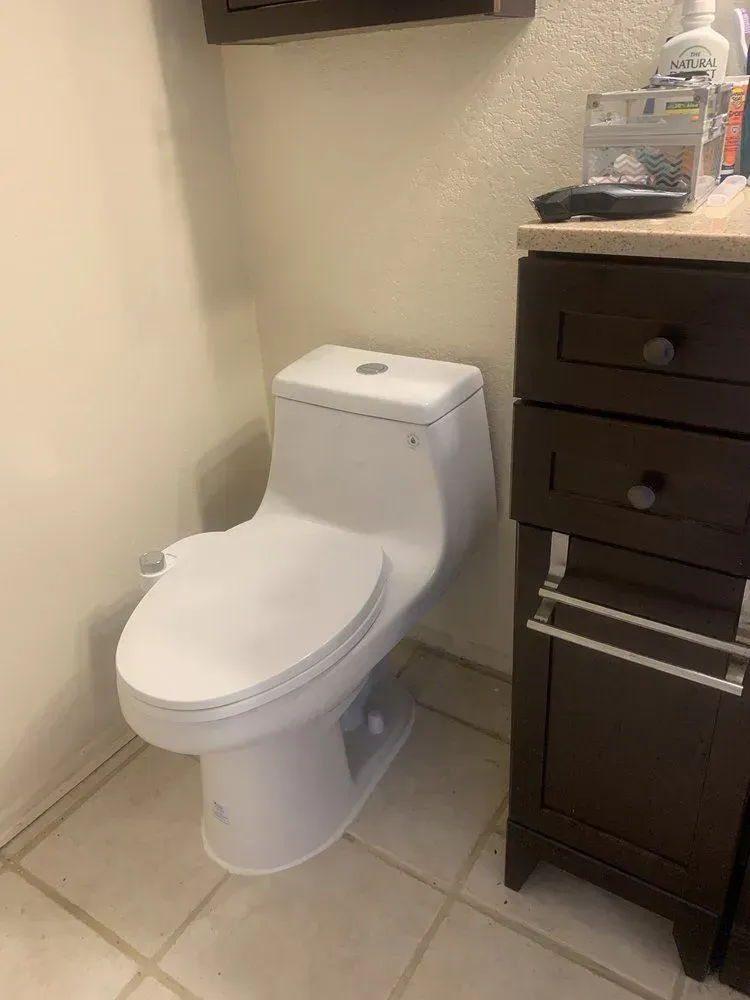 White toilet in a bathroom, next to a dark brown cabinet and off-white walls.