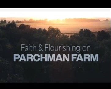 Sunrise over misty trees with text “Faith & Flourishing on Parchman Farm”