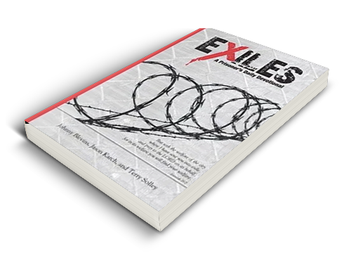 Book cover titled “EXILES” with red spine and abstract black circular line art on a white background