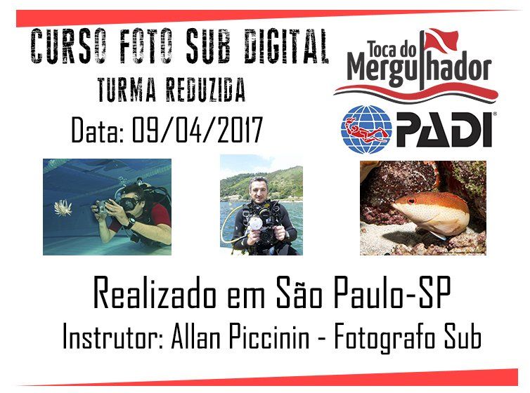 Curso de Fotografia Subaquatica - Toca dp Mergulhador