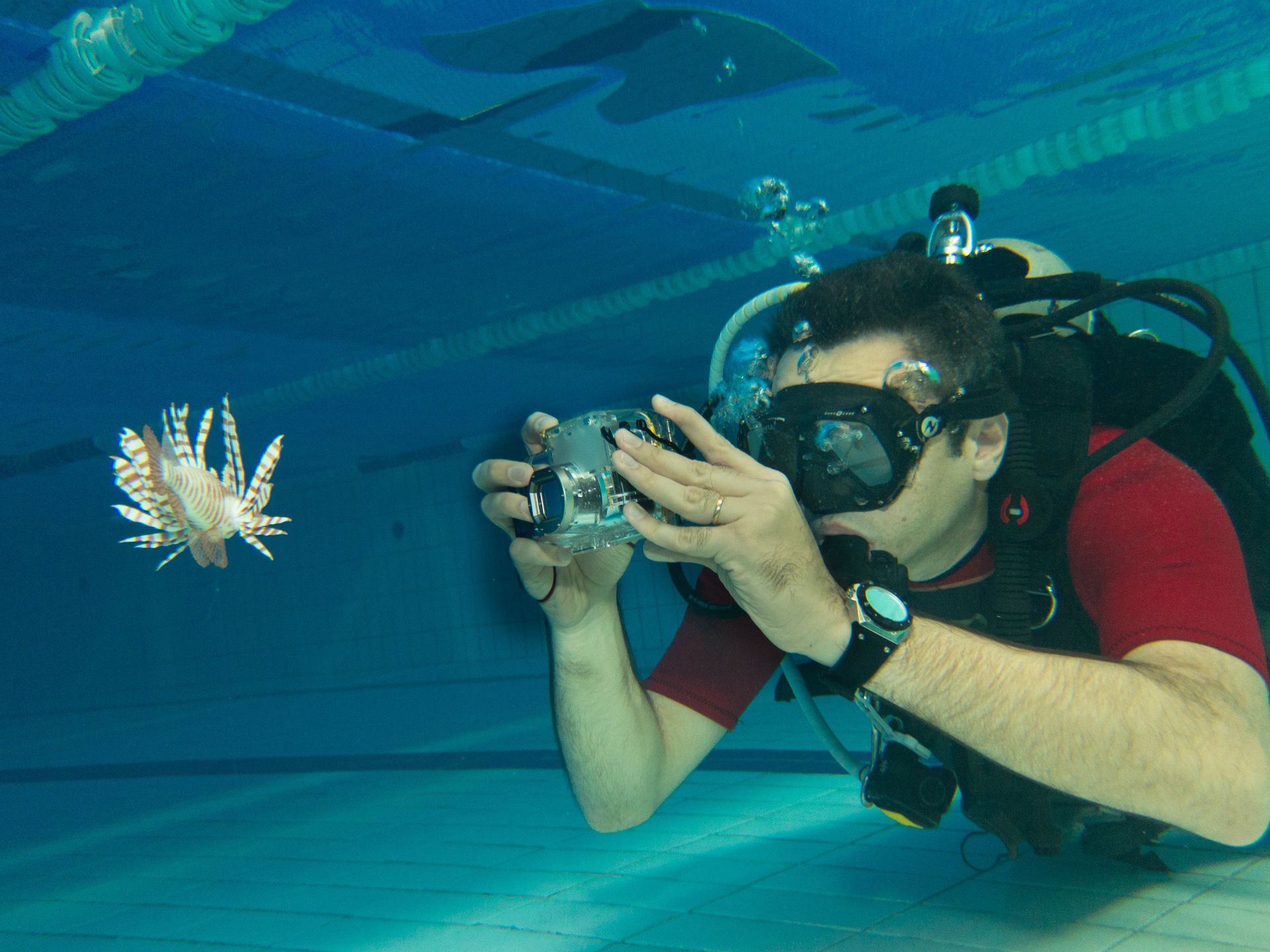 Aprenda as melhores técnicas de fotografia subaquatica - Toca do Mergulhador