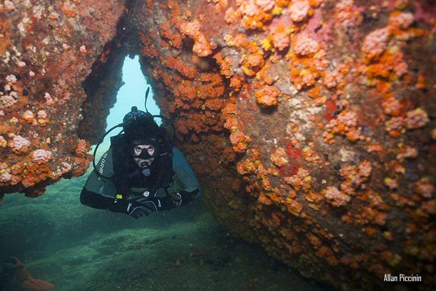 Mergulhador em Angra dos Reis-RJ na base da Toca do Mergulhador/Aquamaster