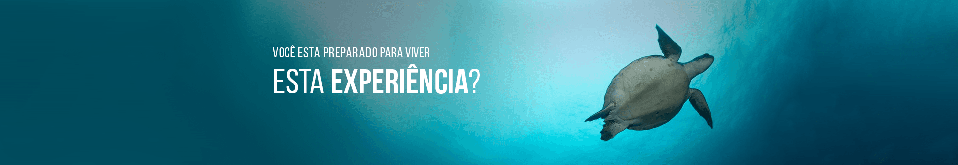 Conheça a Magia da Experiência de Mergulho