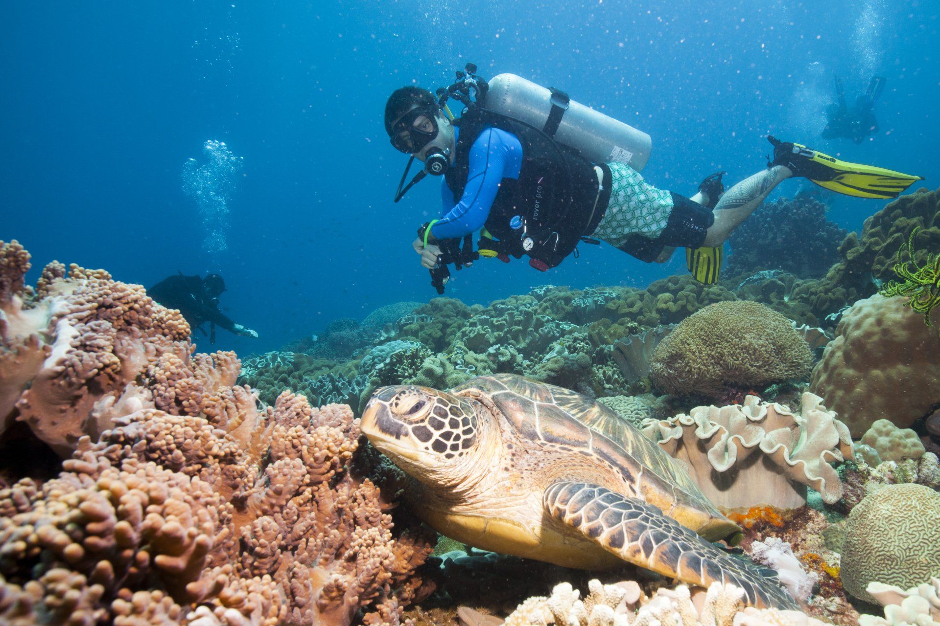 Mergulho em Apo Island-Filipinas