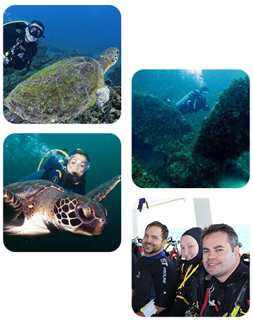 Fotos de Mergulhos - Toca do Mergulhador