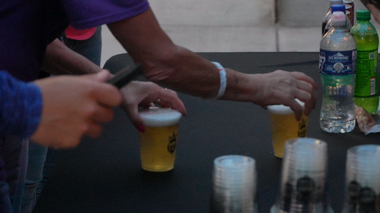 Lamb stands in front of brown sheep in a barn with other sheep.