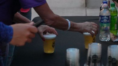 Lamb stands in front of brown sheep in a barn with other sheep.