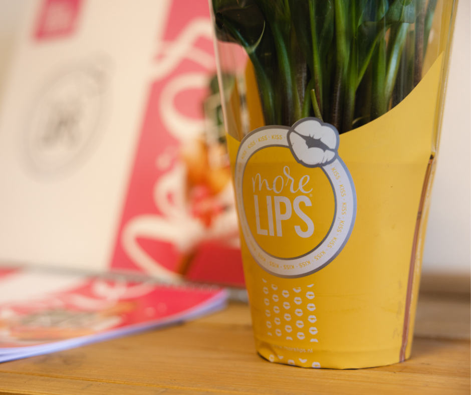 JBB packaging verpakkingen