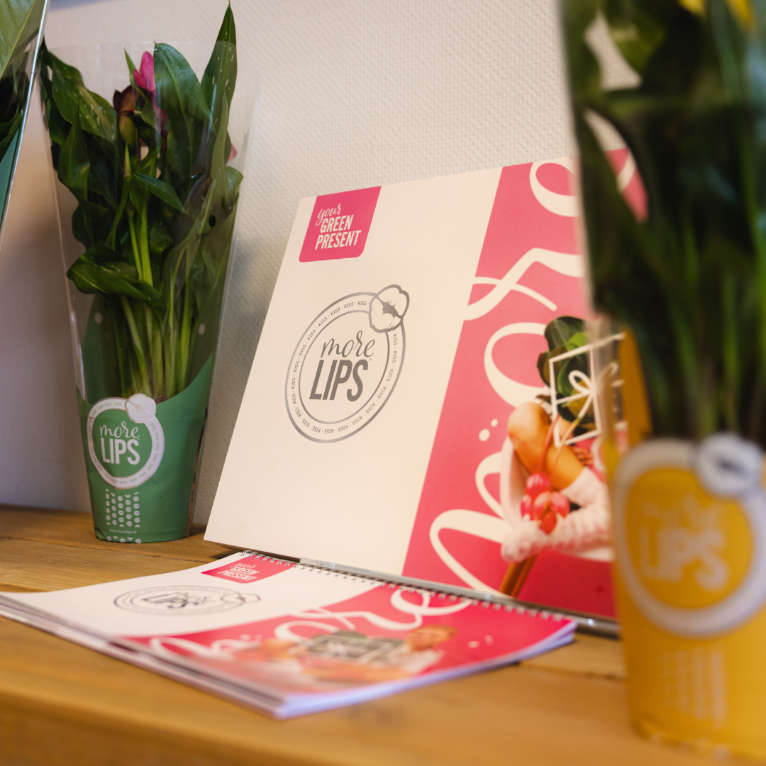 JBB packaging portfolio