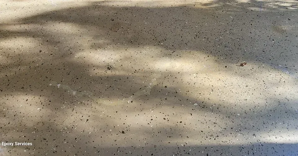 Shadows of leaves on a speckled concrete surface.