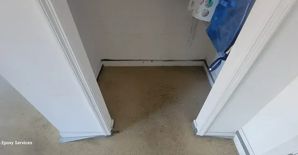 Empty closet with beige carpet and white trim.