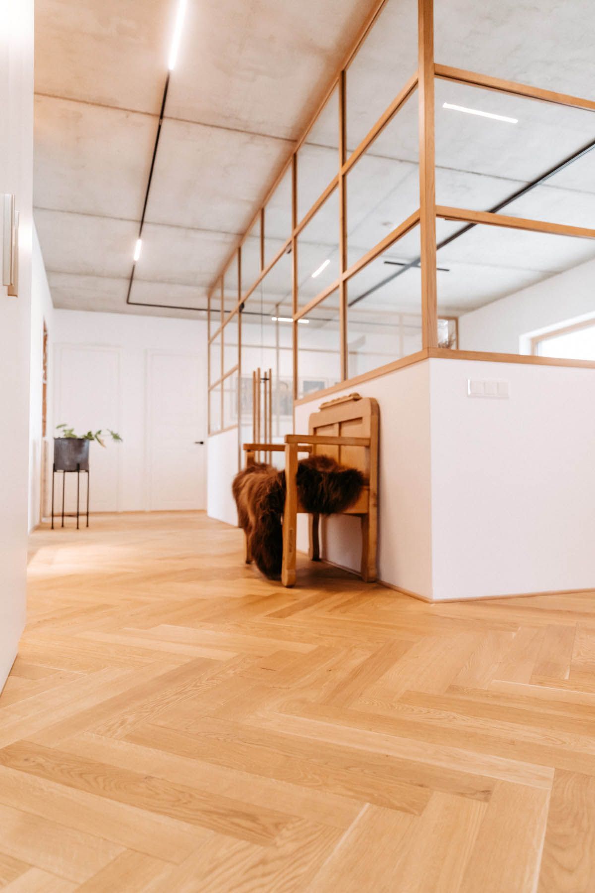 Ein Holzboden im Fischgrätenmuster führt zu einem Büroflur mit Glaswänden und einem Stuhl mit einer Felldecke.