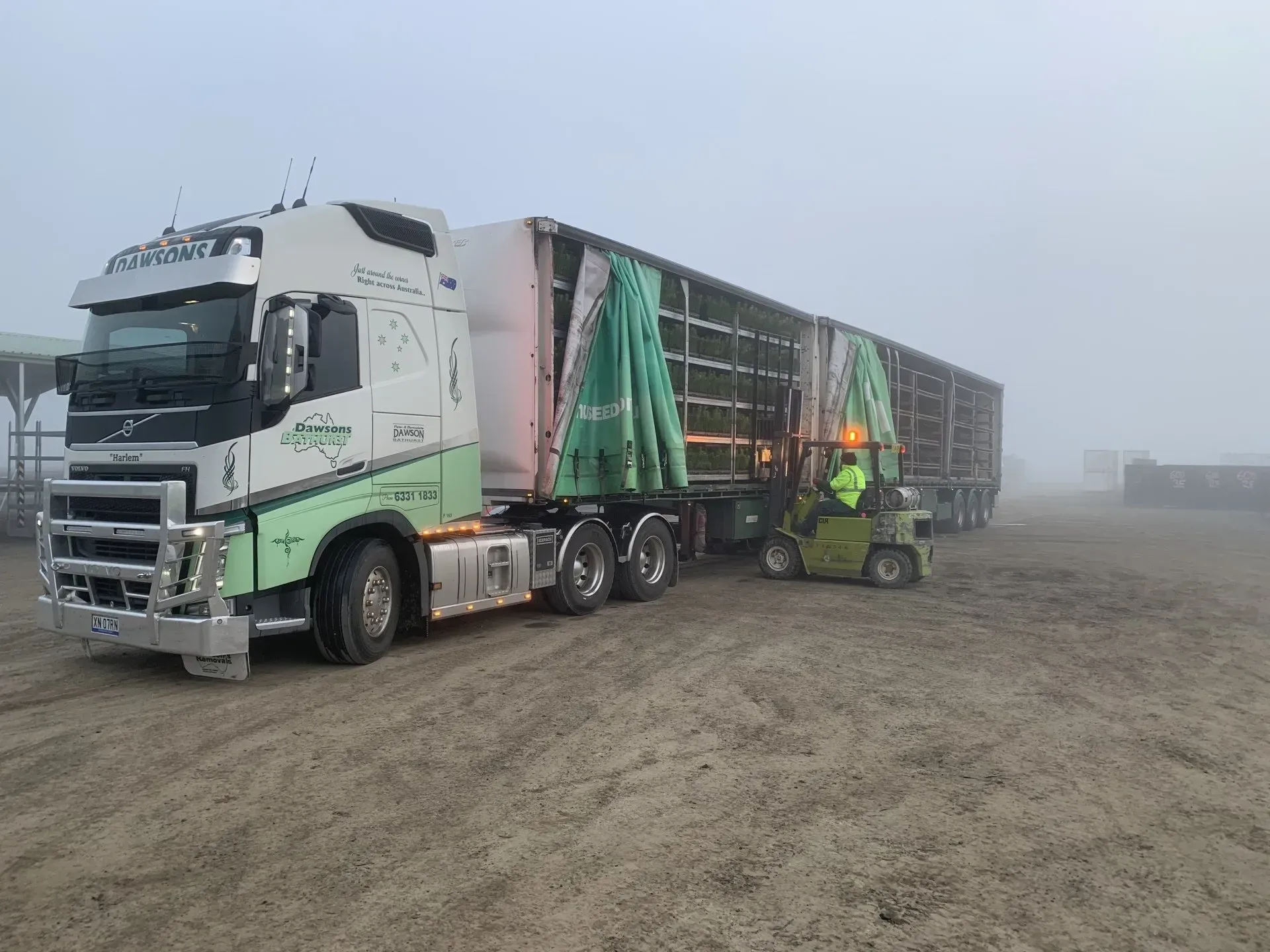 White Semi Truck with Trailer Being Loaded by A Green Forklift in A Foggy Field — Dawson's Removals In Kelso, NSW