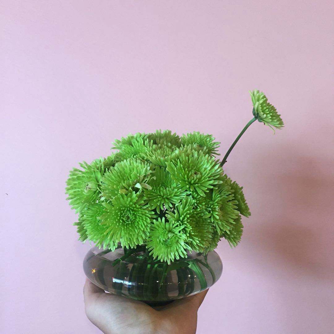 A person is holding a vase with green flowers in it