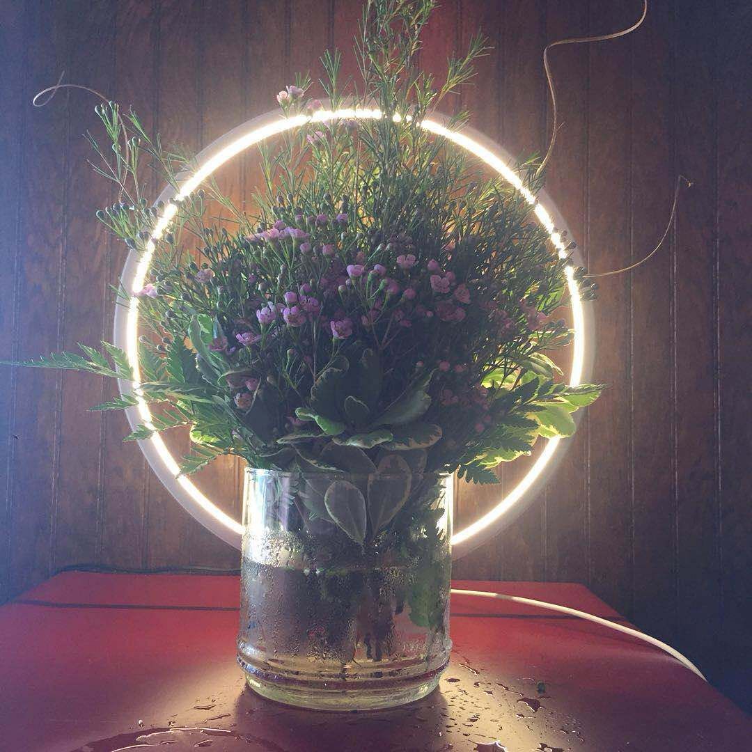 A vase filled with purple flowers sits on a table