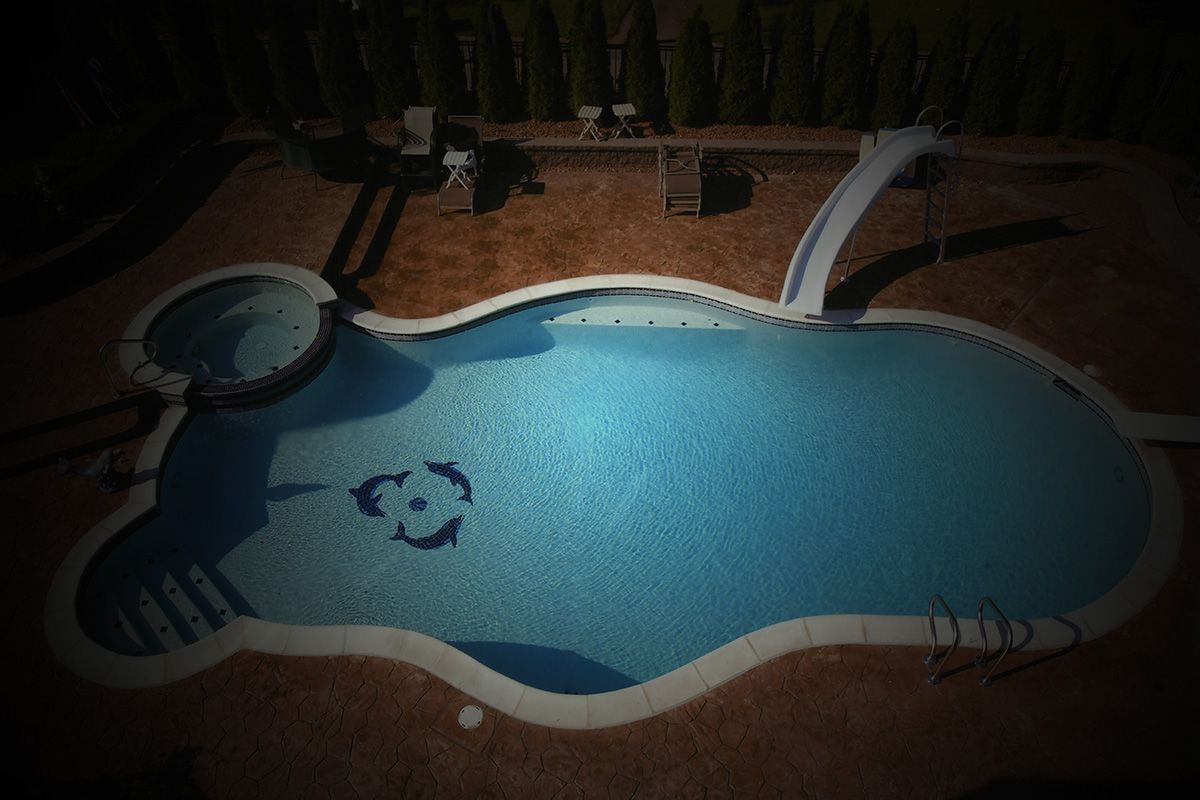 Swimming Pool With Three Dolphin Shape On The Tiles — Warren, MI  — Sardelli Custom Pools