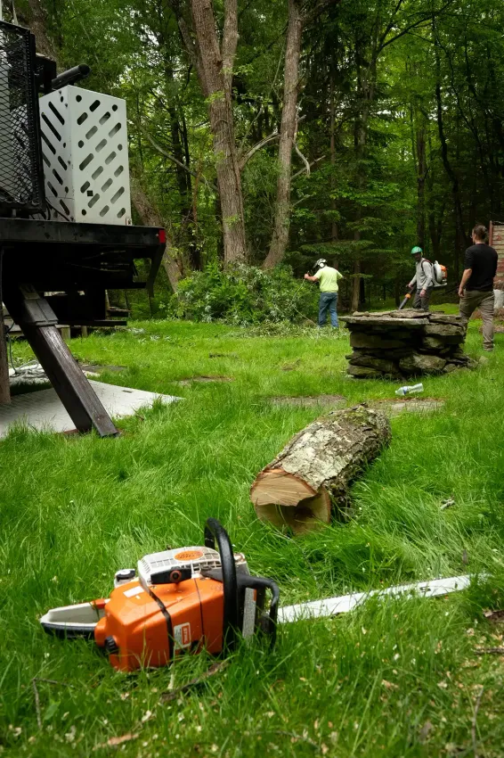 Chainsaw on grass with cut log. Workers in background clearing brush near a truck in a wooded area.