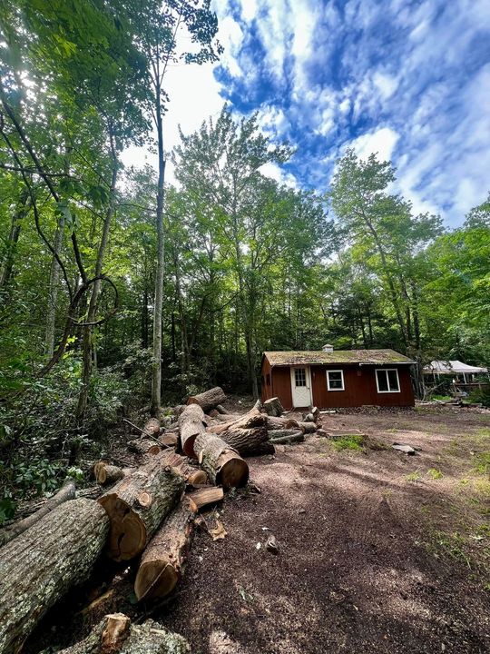 Logs piled near a small, red cabin nestled in a green forest under a cloudy sky.