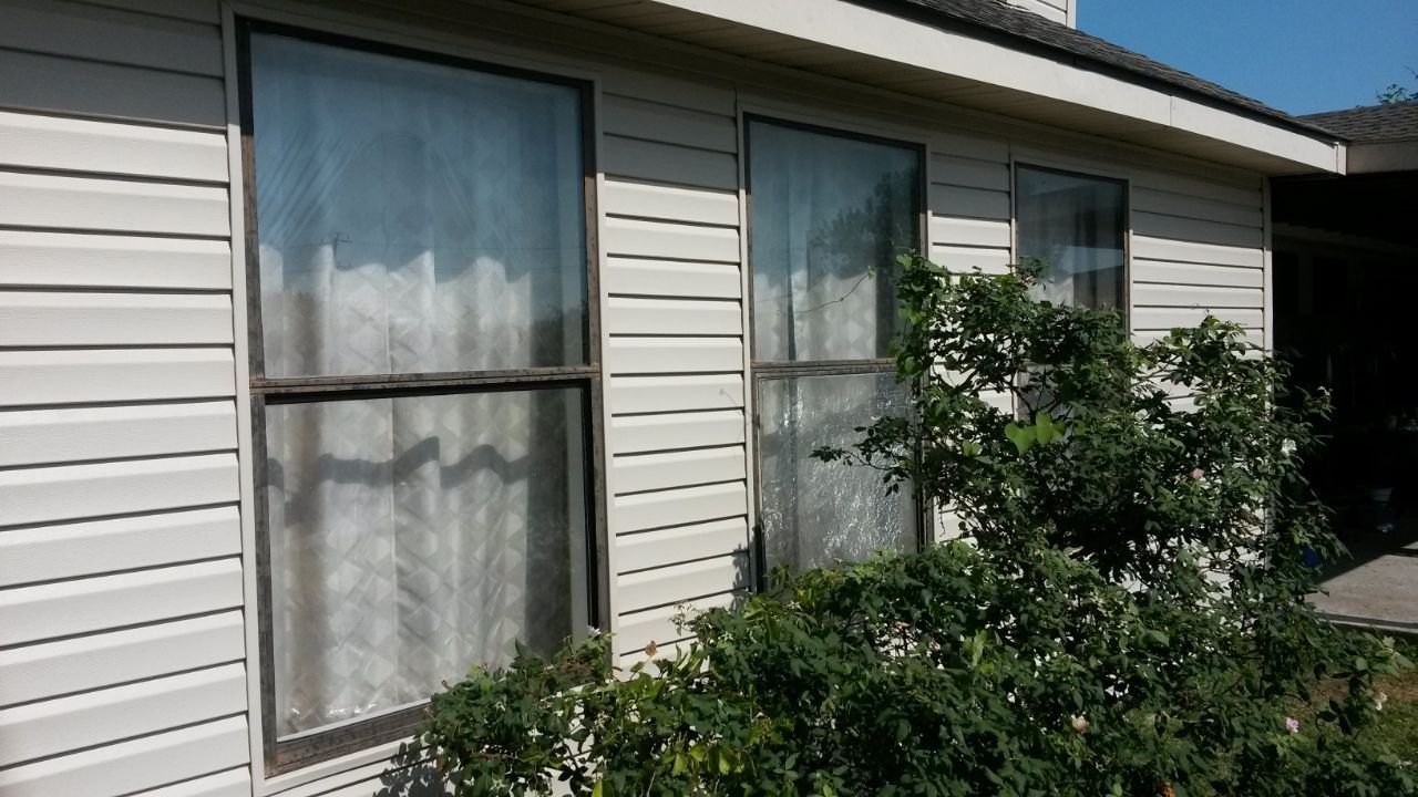 Windows of a building with light beige siding, partially obscured by green bush.