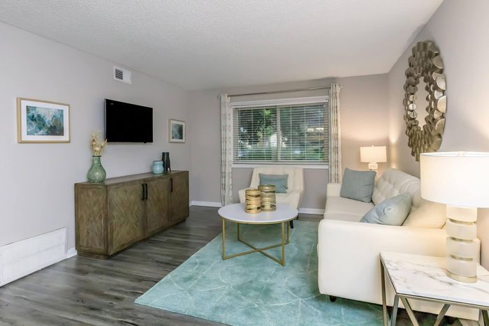 Living room with white sofa, coffee table, wooden cabinet, TV, and blue rug.