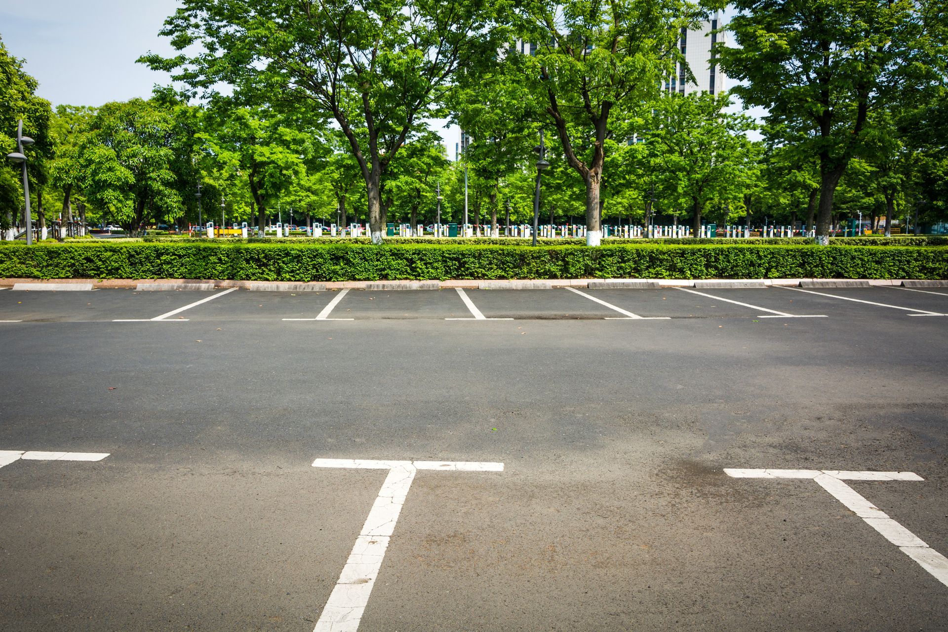 An empty parking lot with trees in the background