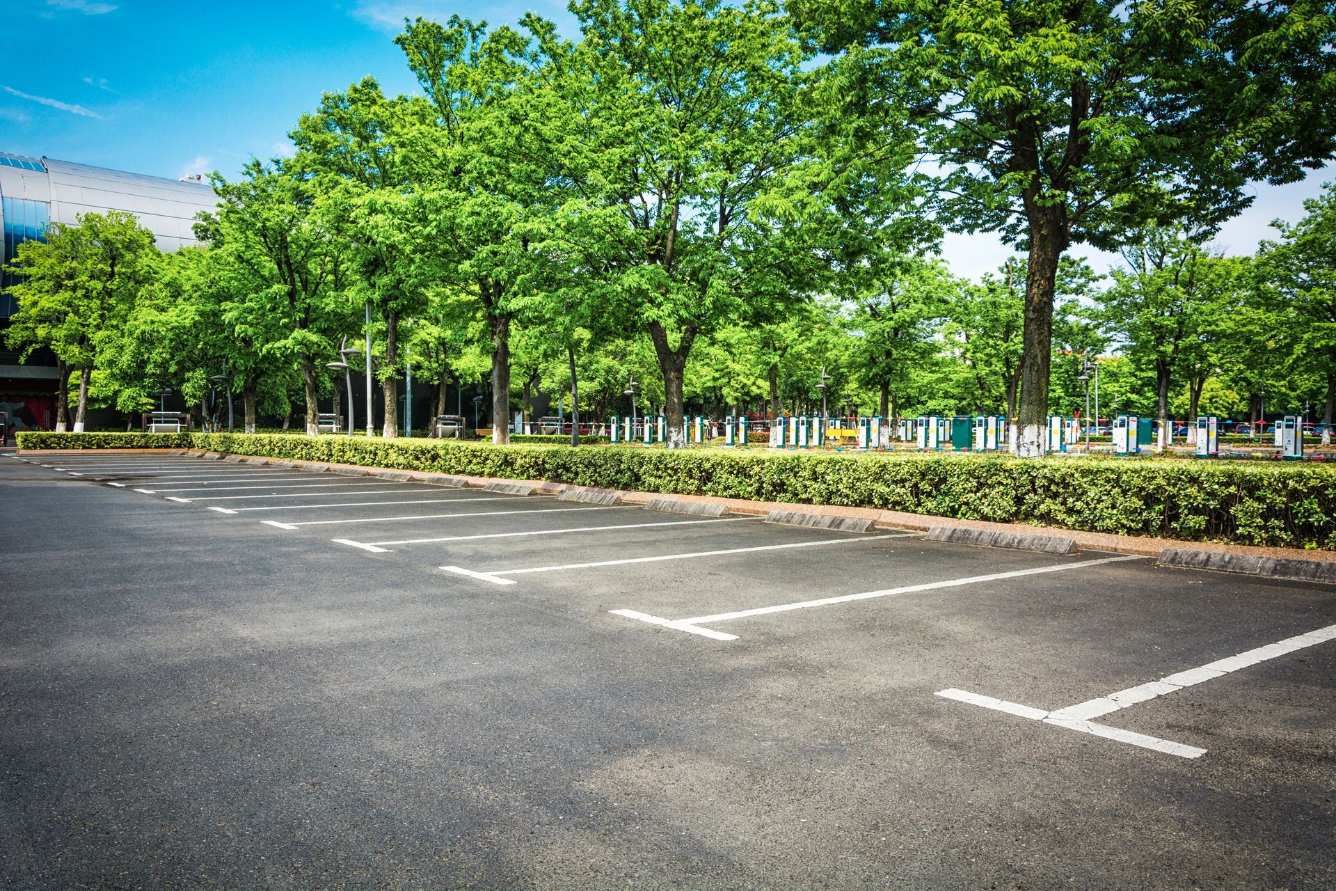 Empty parking lot with white-lined spaces, bordered by trimmed hedges and a row of green trees under a blue sky.