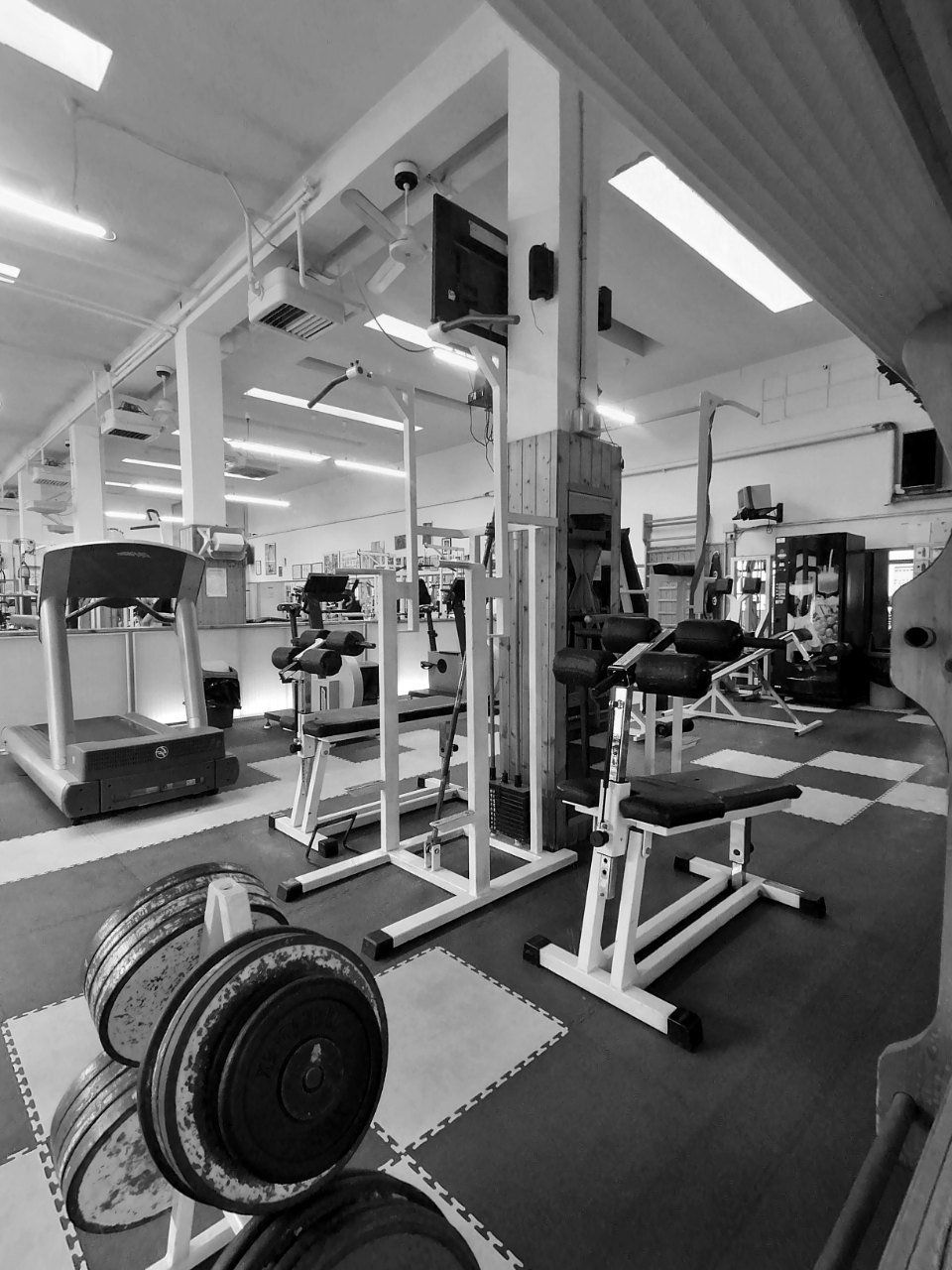 sala bodybuilding