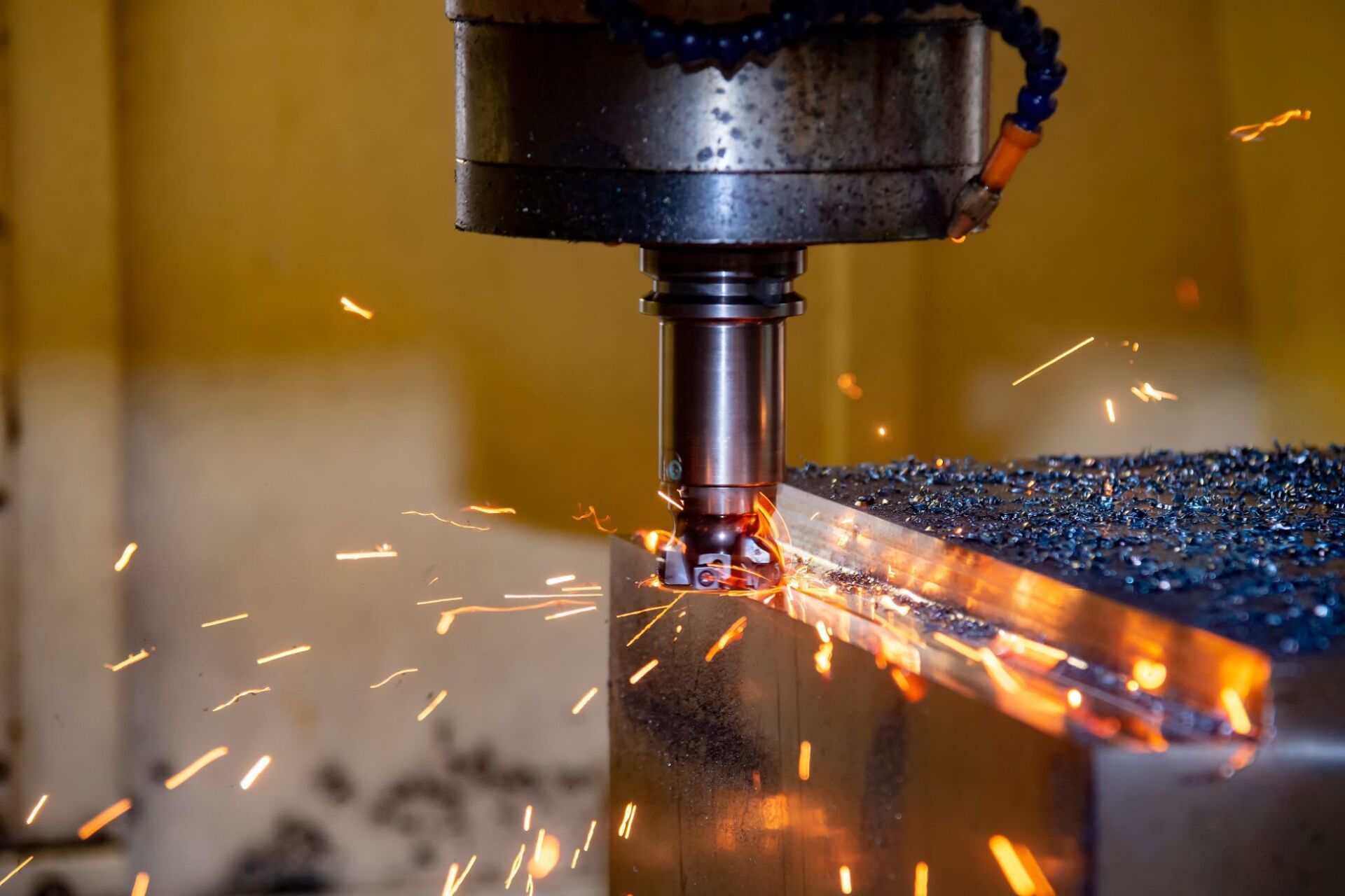 produzione di campioni