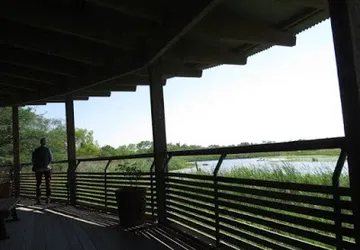A man standing on a balcony overlooking a lake
