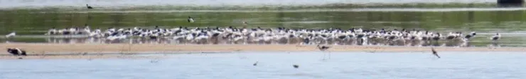 A blurry picture of a group of people standing in the water.