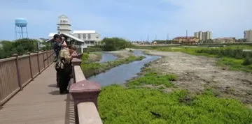 A man riding a horse on a bridge over a river.