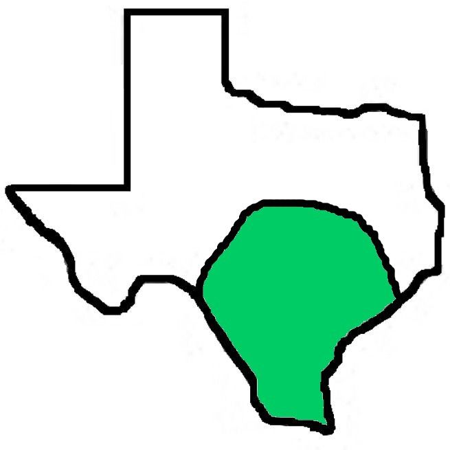 A drawing of the state of texas with a green border.