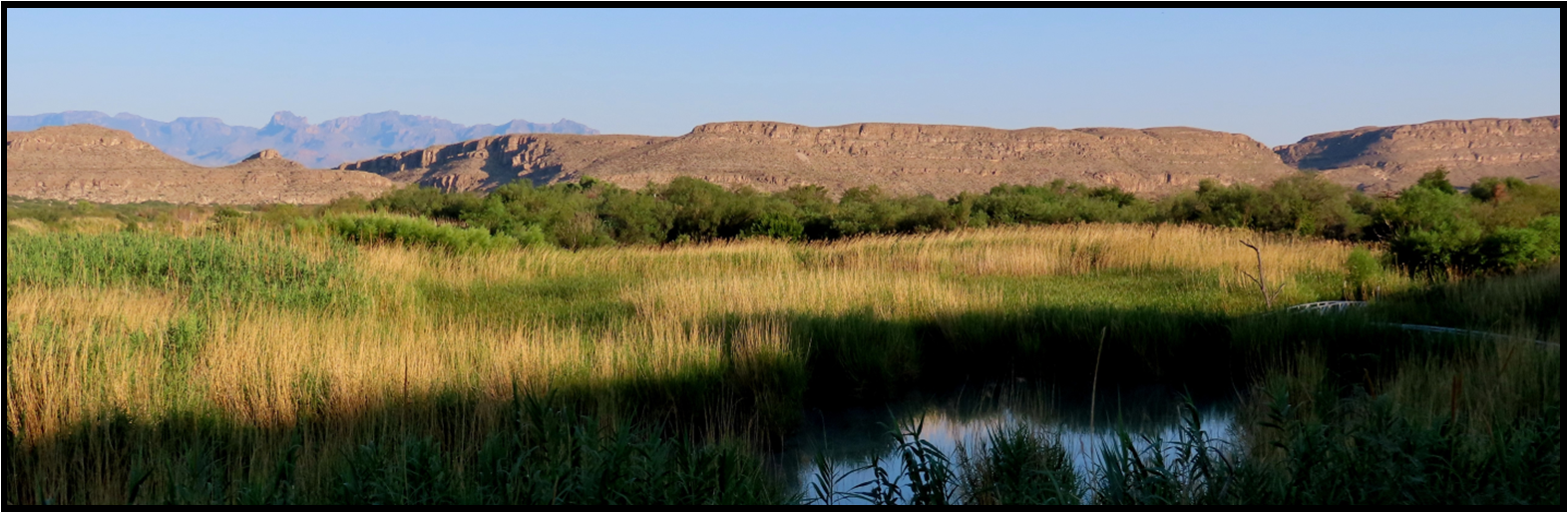 A swamp in the desert with mountains in the background