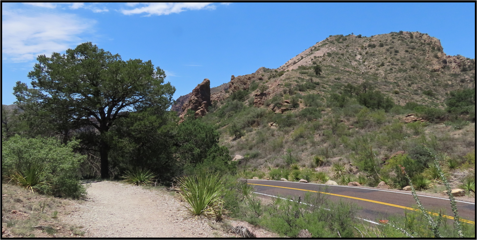 A dirt road with a mountain in the background