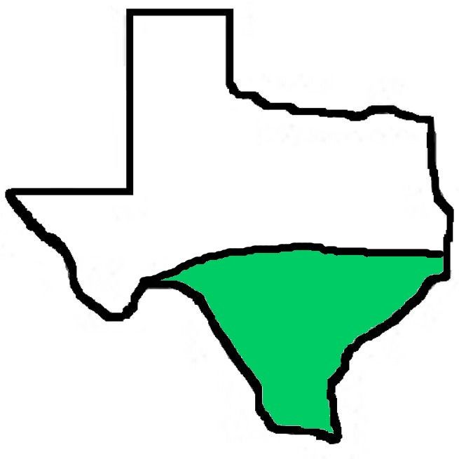 A drawing of the state of texas with a green border.