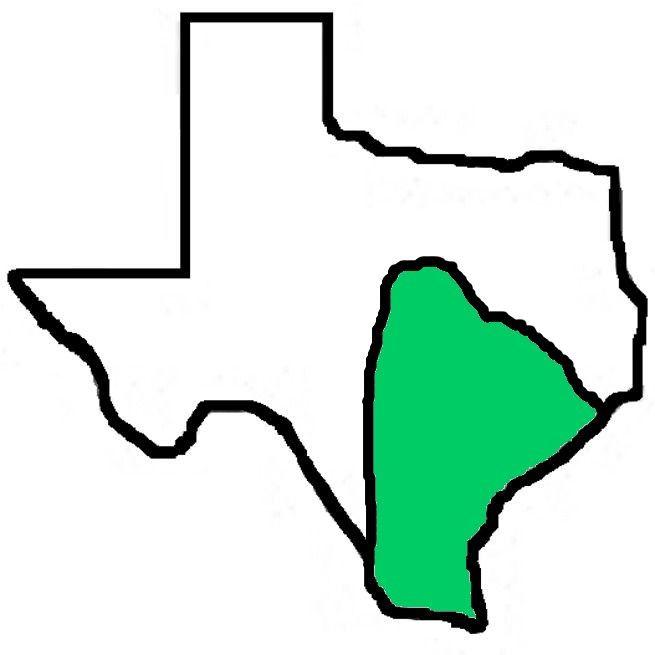 A drawing of the state of texas with a green border.