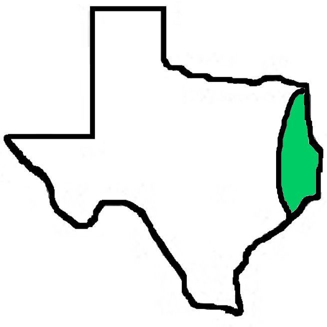 A drawing of the state of texas with a green border.