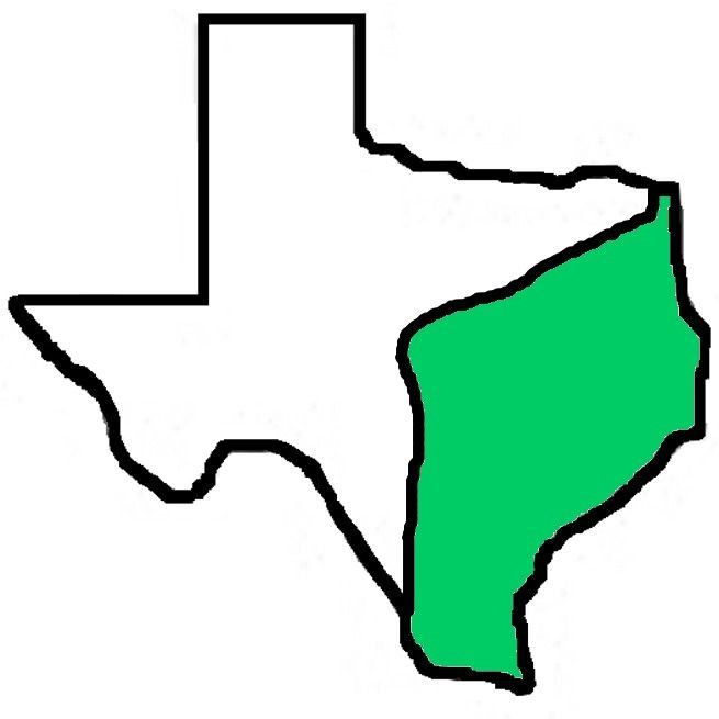 A drawing of the state of texas with a green border.