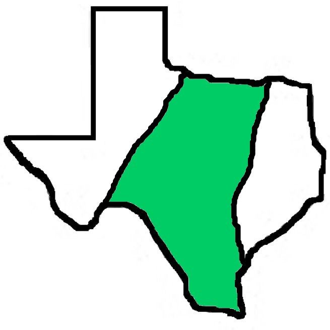 A drawing of the state of texas with a green border.