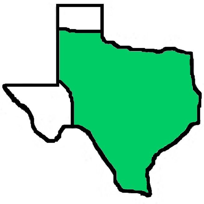 A green map of texas with a white border on a white background.