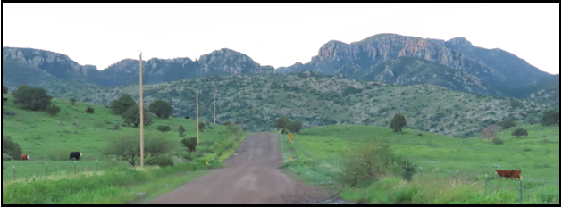 A dirt road going through a grassy field with mountains in the background