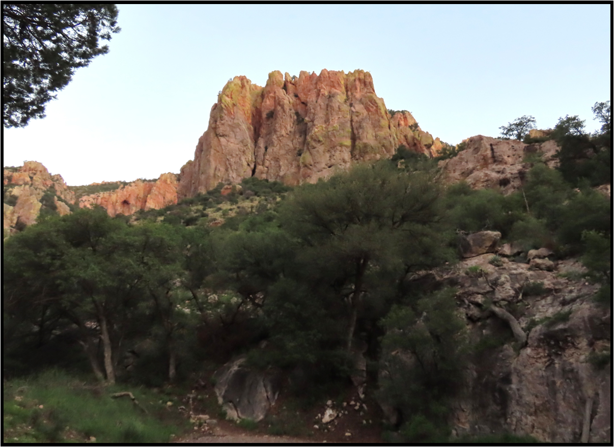 A large rock formation in the middle of a forest
