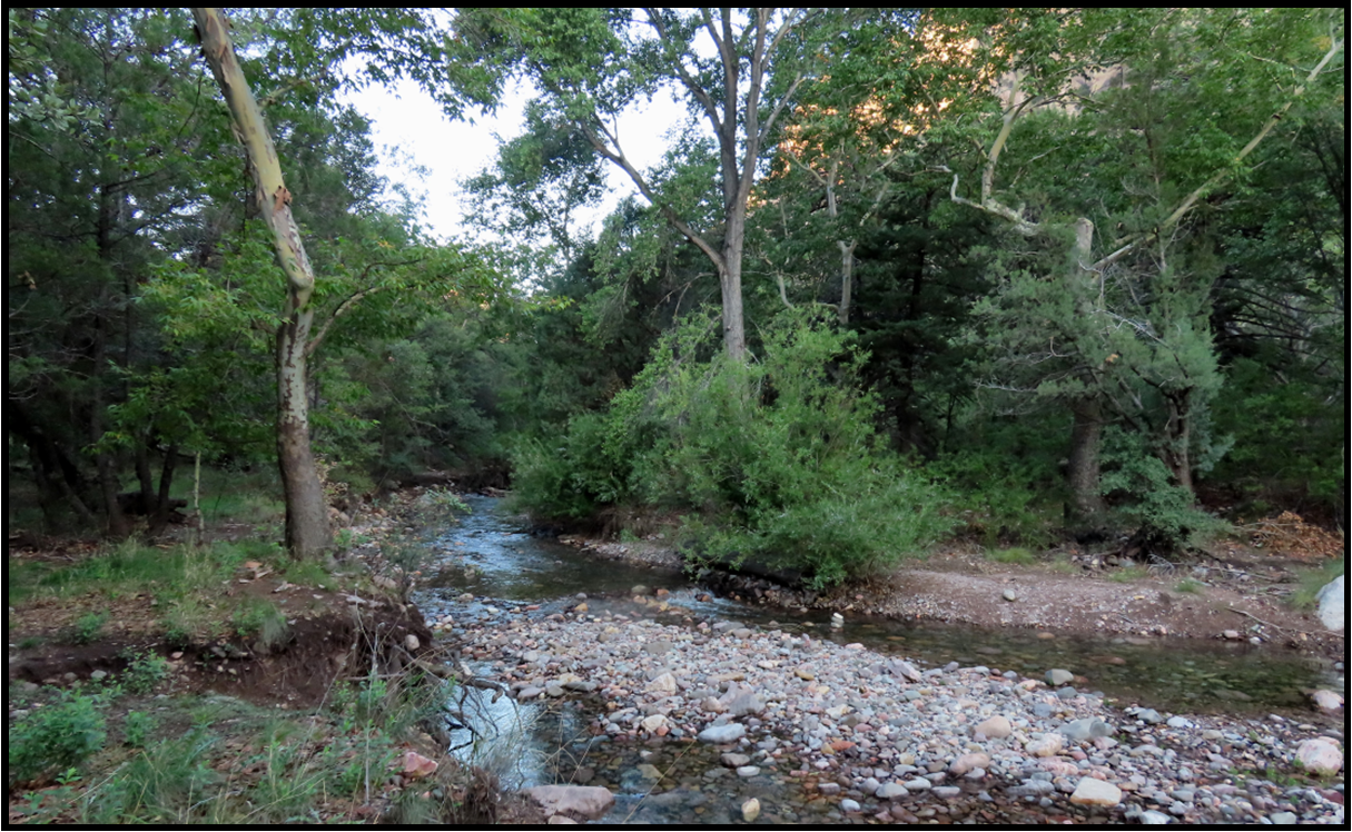A river running through a forest surrounded by trees and rocks.