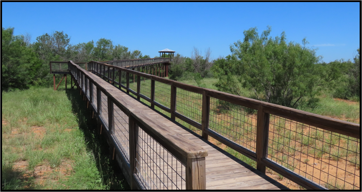 A wooden walkway going through a grassy field